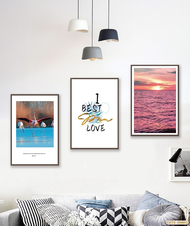 hồng hạc - biểnCKT3-208KG